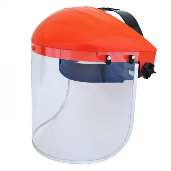 Browguard Visor